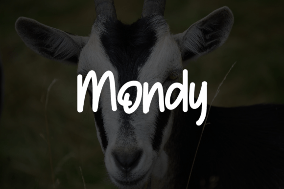 Choosing Mondy: A Modern Typeface for Editorial Clarity