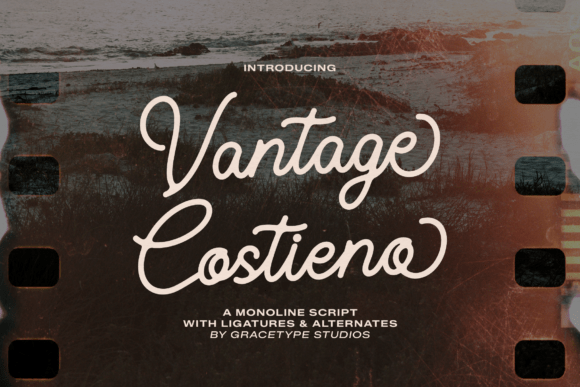 Vantage Costieno: A Monoline Script Font for Digital Elegance